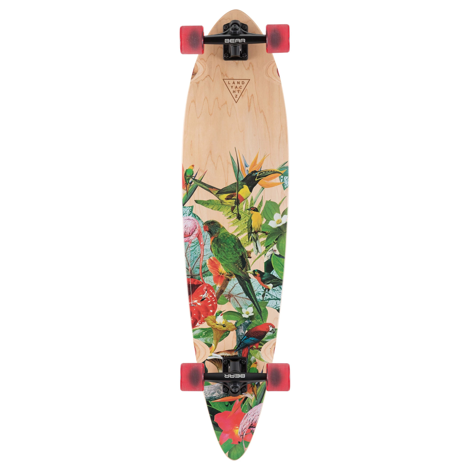 Landyachtz Condor Paradise Longboard 3 Landyachtz Condor Paradise Longboard